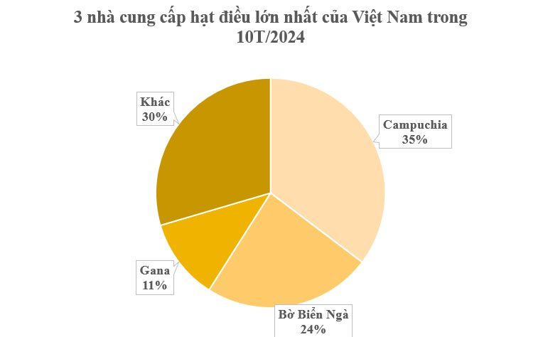 Từ đầu năm, Việt Nam đã nhập khẩu bao nhiêu hạt điều từ Campuchia, Bờ Biển Ngà, Ghana? - Ảnh 2.