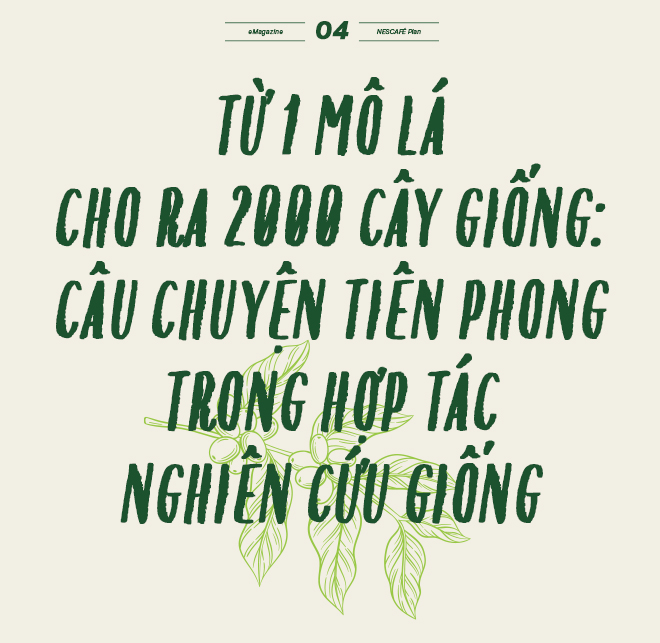 Lon sữa bò, vỏ chai cũ, câu chuyện nông nghiệp tái sinh “càng làm càng nhàn” và một thế hệ nông dân mới - Ảnh 9.