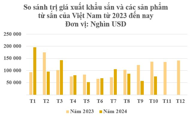  - Ảnh 2.