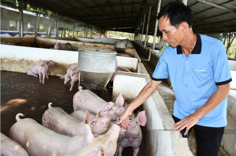 Anh nông dân nhẹ nhàng thu tiền tỷ nhờ trồng loại cây quý "đẻ ra vàng" - Ảnh 2.