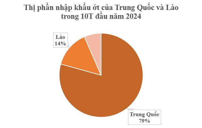 Việt Nam sở hữu loại quả gia vị triệu đô được Lào, Trung Quốc cực kỳ mê: Thu về 23 triệu USD kể từ đầu năm, nước ta có sản lượng hàng trăm nghìn tấn - Ảnh 1.