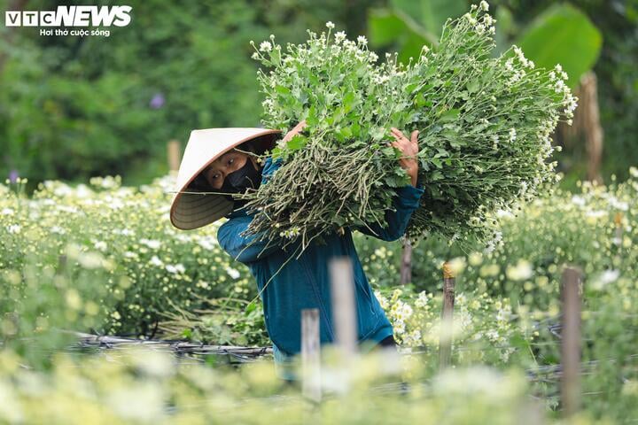 'Đặc sản' Hà Nội tăng giá gấp đôi, khách vẫn chịu chơi lùng mua - Ảnh 4.