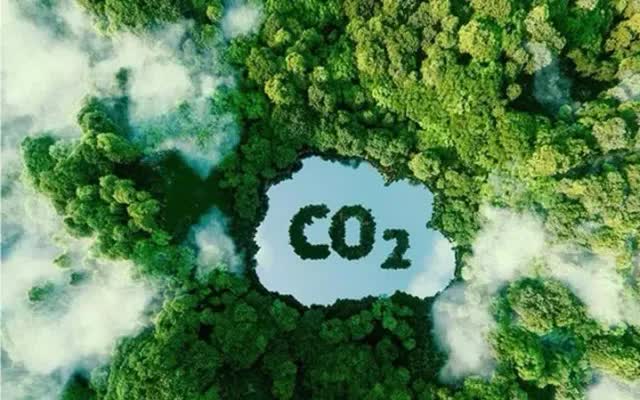 COP29 hướng đến thị trường carbon toàn cầu - Ảnh 2.