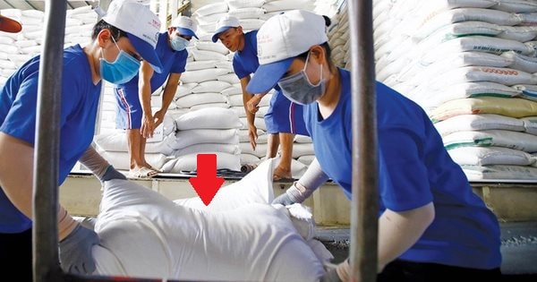 Lập kỷ lục xuất khẩu, vì sao Việt Nam vẫn mạnh tay nhập hàng triệu tấn mặt hàng này từ Campuchia?