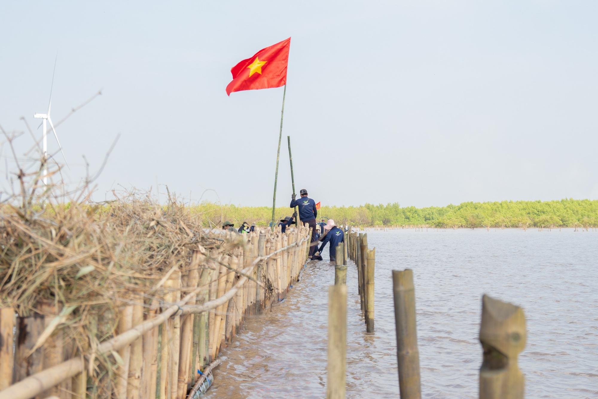 Cảnh tượng "lạ" khi cả nghìn cây xanh mọc lên từ những mảnh đất cằn hoang phế, điều gì làm nên kỳ tích?- Ảnh 2.