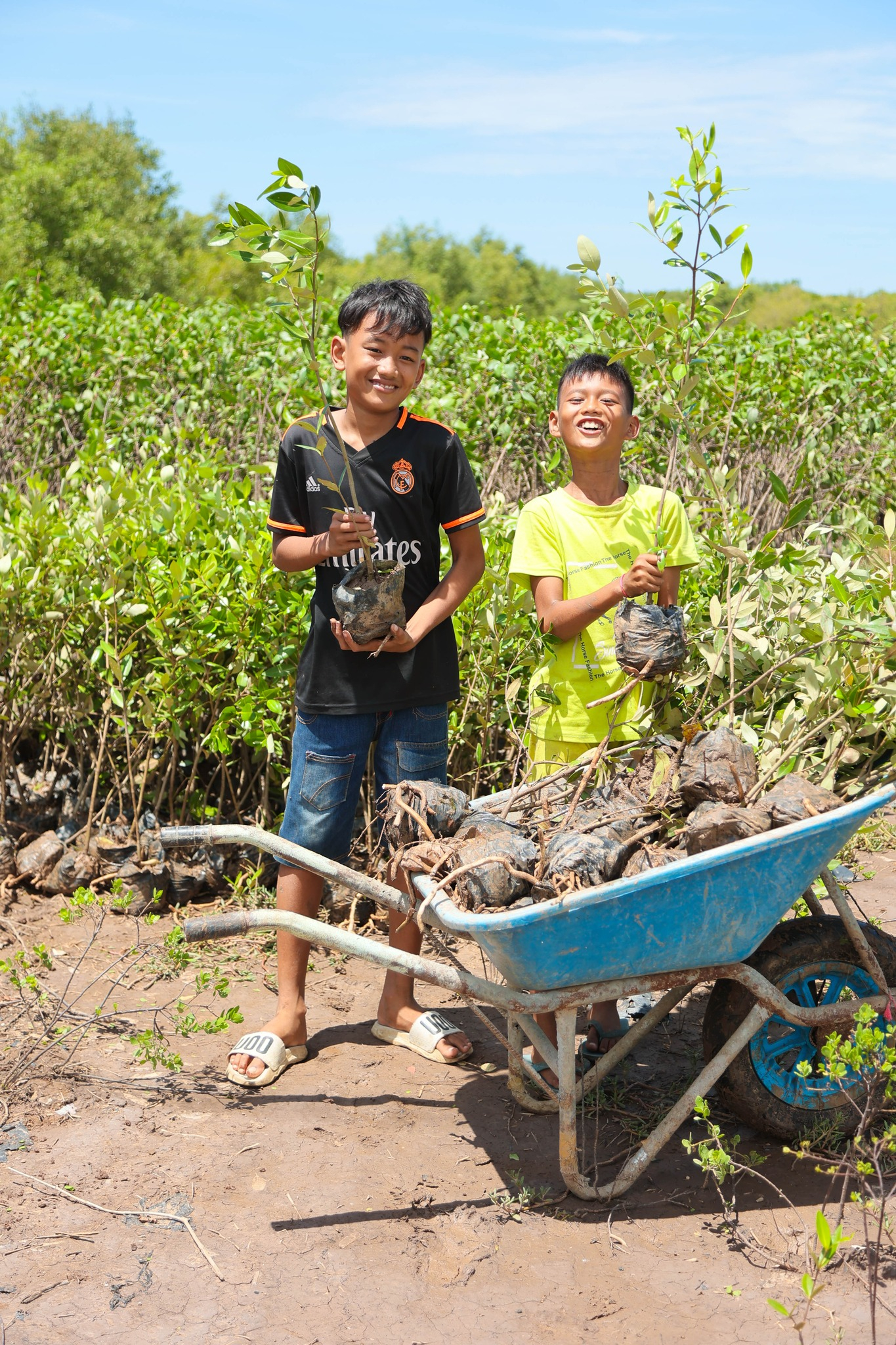 Cảnh tượng "lạ" khi cả nghìn cây xanh mọc lên từ những mảnh đất cằn hoang phế, điều gì làm nên kỳ tích?- Ảnh 7.