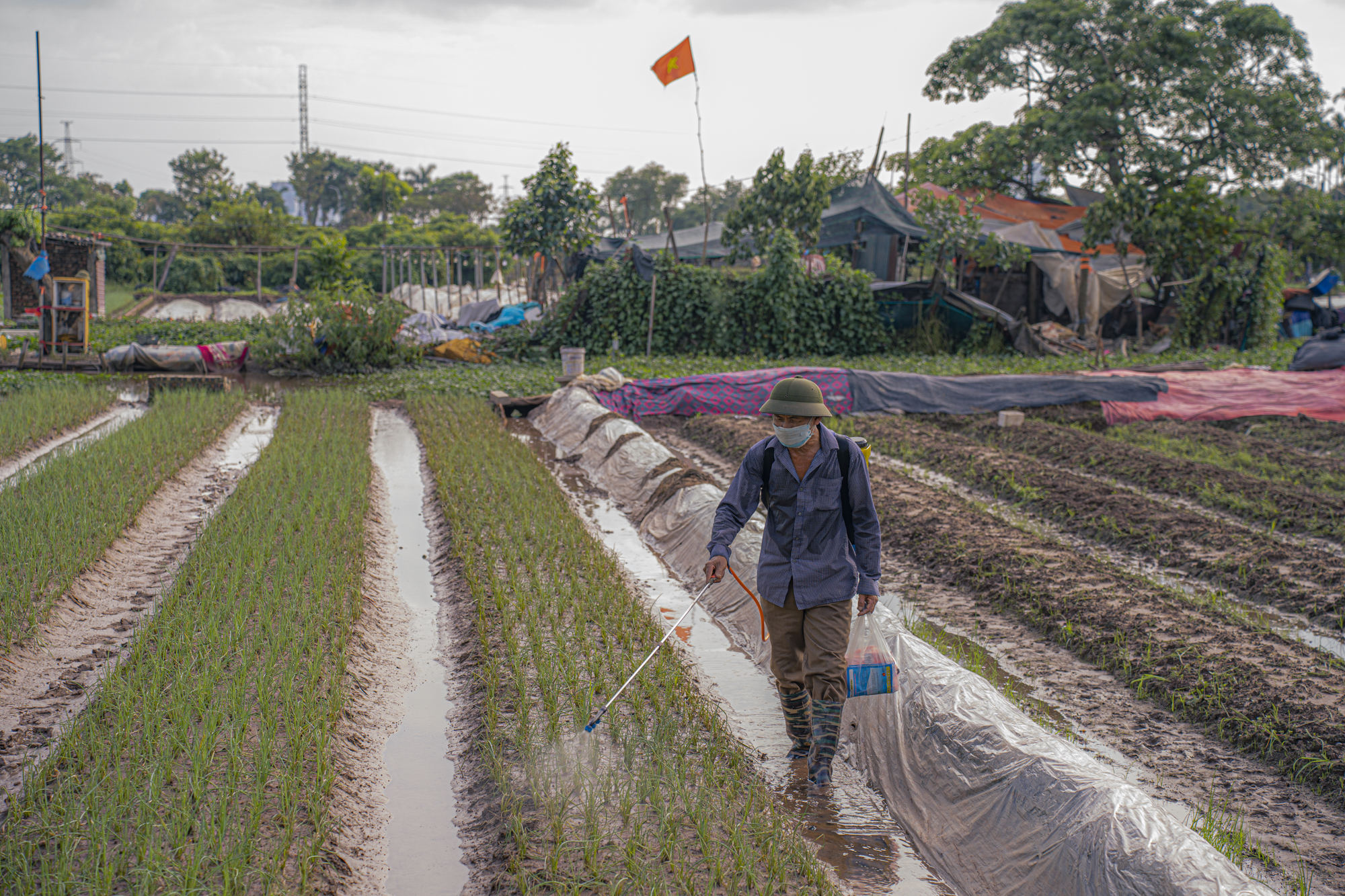 Một quận tại Hà Nội quy hoạch xây dựng 5 công viên “khủng”, có nơi cách nhau chỉ vài chục mét- Ảnh 16.