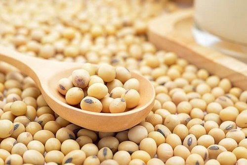 Loại hạt màu vàng giàu protein gấp đôi hạt chia, giá không quá 30.000 đồng/kg, tốt cho xương và tim- Ảnh 1.