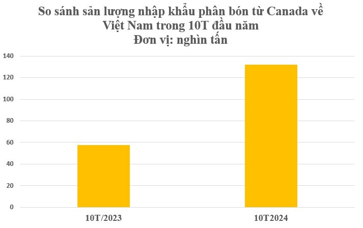 Hàng trăm nghìn tấn báu vật từ Canada đổ bộ Việt Nam với giá rẻ bất ngờ: Chi hàng tỷ USD nhập khẩu, nước ta tiêu thụ 10,4 triệu tấn mỗi năm - Ảnh 3.