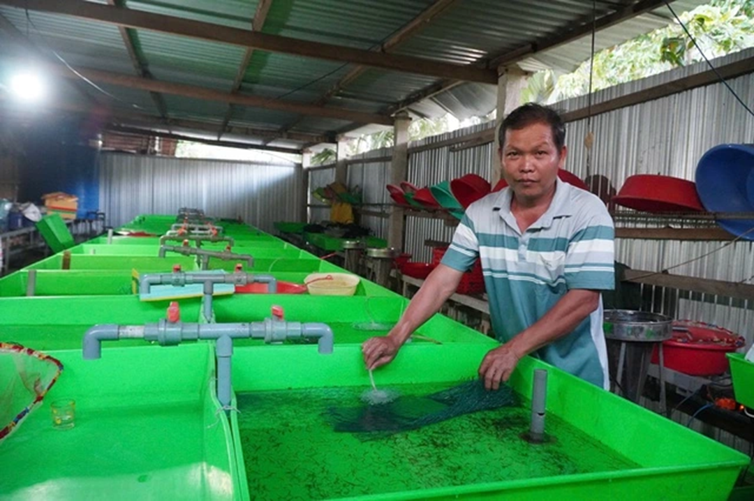 Mạnh dạn đầu tư nu&ocirc;i con "hiền như đất", anh n&ocirc;ng d&acirc;n nhẹ nh&agrave;ng kiếm 2 tỷ đồng/năm- Ảnh 3.