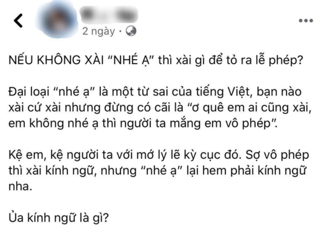 Giữa đêm, cả cõi mạng thi nhau "nhé ạ" sau phát ngôn gây tranh cãi của siêu mẫu Xuân Lan: Chuyện gì đây? - Ảnh 4.