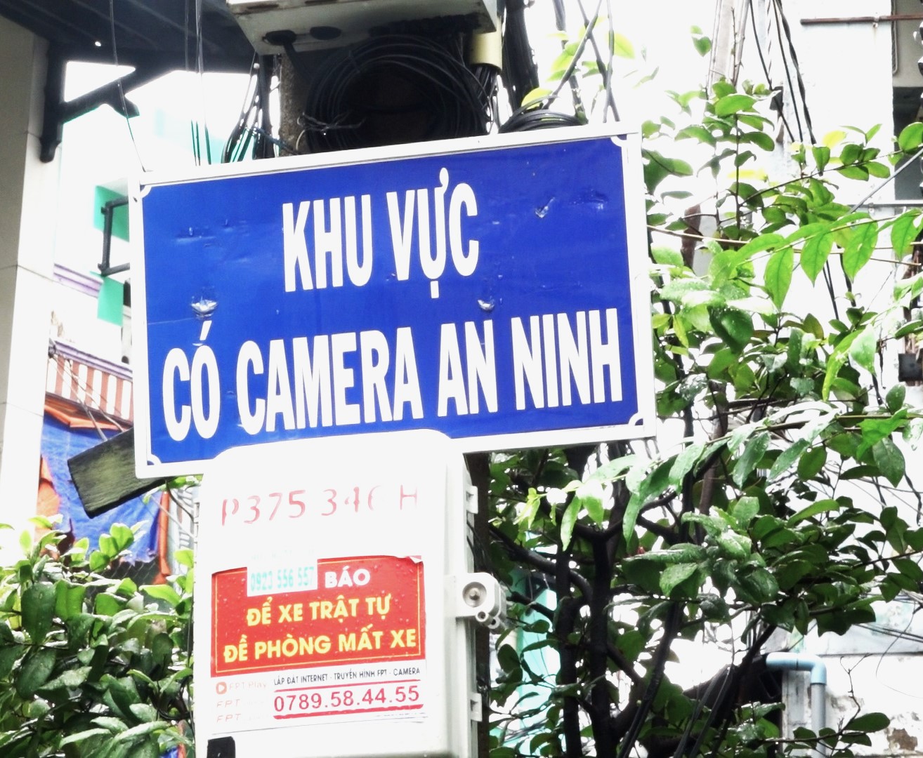 Cuộc sống hiện tại trong hẻm Năm Cam một thời tai tiếng giữa Sài Gòn, nơi "trai khó lấy vợ nơi khác, gái không thể gả đi xa"- Ảnh 3.