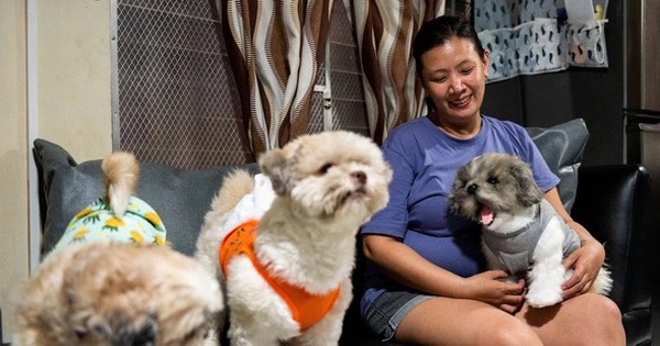 10 năm thất nghiệp, người phụ nữ bỗng kiếm bộn tiền nhờ một t&agrave;i lẻ b&agrave; nội trợ n&agrave;o cũng l&agrave;m được: Kh&aacute;ch c&oacute; khi phải đợi v&agrave;i năm mới mua được!- Ảnh 5.