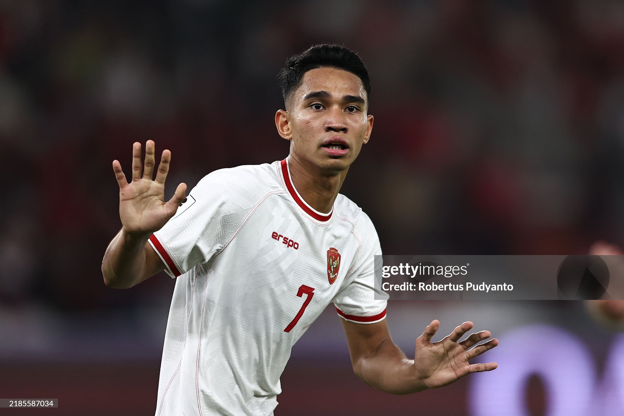 Indonesia chốt đội hình sơ bộ cho AFF Cup 2024: HLV Shin Tae-yong gạch tên 12 cầu thủ nhập tịch - Ảnh 2.