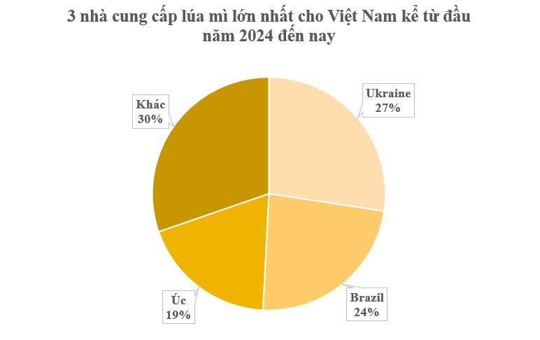 Ukraine mang đến Việt Nam hơn 1 triệu tấn hàng mà thế giới đang khan hiếm: Nhập khẩu tăng mạnh hơn 800%, trở thành nhà cung cấp lớn nhất cho nước ta - Ảnh 2.