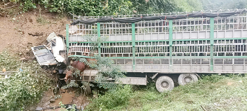 Vụ tai nạn xe tải chở hơn 30 con bò mất lái đâm vào đồi, tài xế tử vong: Xót xa hình ảnh người thân khóc ngất tại hiện trường- Ảnh 1.