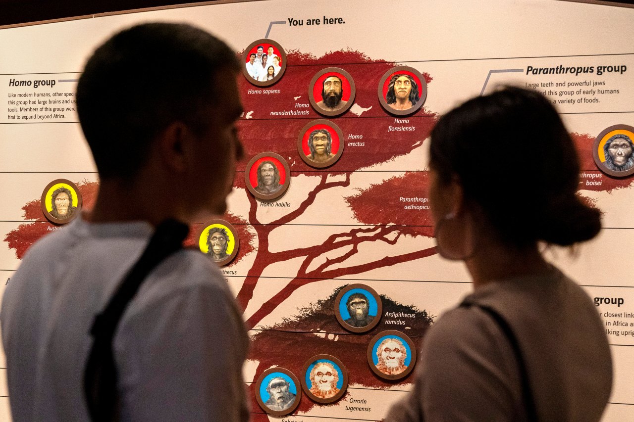 Tất cả chúng ta đều mang DNA của người Neanderthal và Denisovan và đây là cách điều đó ảnh hưởng đến chúng ta- Ảnh 2.