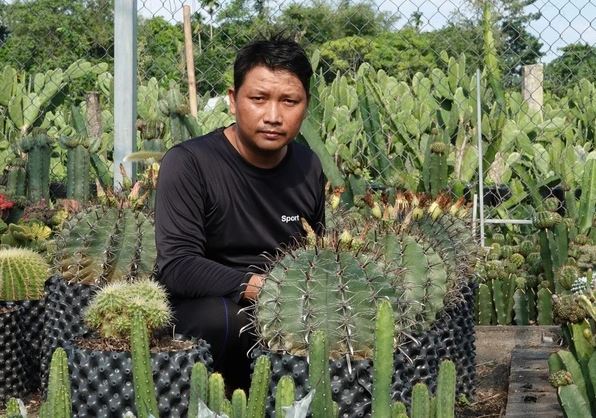 Mạnh dạn đầu tư trồng cây "không lá" gai góc, anh nông dân thu lãi 500 triệu/năm rất nhẹ nhàng - Ảnh 1.