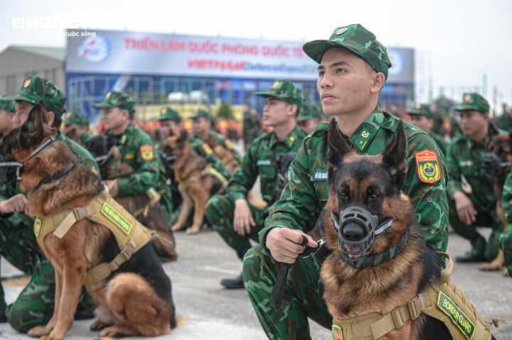 Điều đặc biệt về đội quân khuyển Việt Nam tham gia Triển lãm Quốc phòng quốc tế 2024 - Ảnh 1.