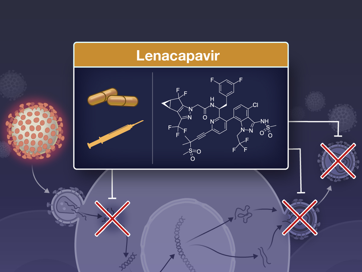 Số ca nhiễm mới HIV trên toàn cầu đã giảm tới mức thấp kỷ lục: Nhưng tại sao đó không phải là tin vui?- Ảnh 4.