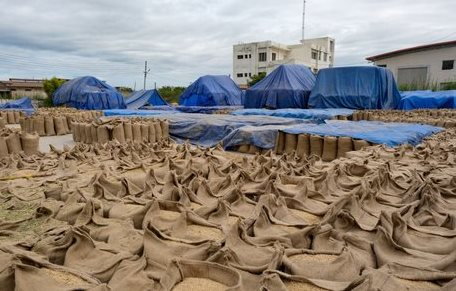 Một loại nông sản ‘trời ban’ cho Việt Nam đang bán đắt như tôm tươi tại Ukraine: Xuất khẩu tăng nóng 1.500%, nước ta là ‘trùm’ đứng thứ 3 thế giới - Ảnh 1.