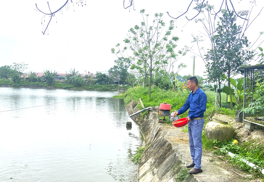 Anh nông dân nuôi con "hiền như cục đất" nhẹ nhàng bỏ túi 800 triệu đồng - Ảnh 3.