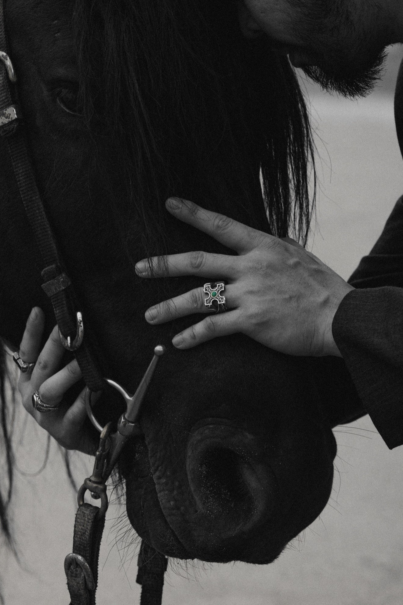 Thương hiệu Helios - Từ bàn tay người Việt vươn ra thế giới - Ảnh 4. Thương hiệu Helios - Từ bàn tay người Việt vươn ra thế giới - Ảnh 4.