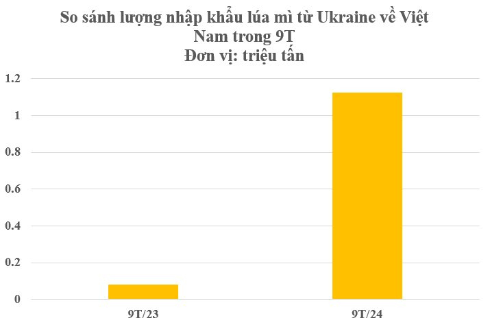 Hàng triệu tấn hàng từ Ukraine đổ bộ Việt Nam trong 9 tháng đầu năm: Việt Nam nhập khẩu top 10 thế giới vì không thể trồng nội địa - Ảnh 3.