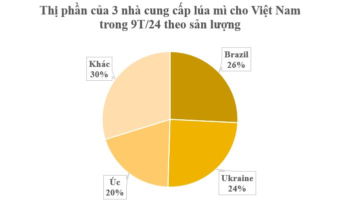 Hàng triệu tấn hàng từ Ukraine đổ bộ Việt Nam trong 9 tháng đầu năm: Việt Nam nhập khẩu top 10 thế giới vì không thể trồng nội địa - Ảnh 2.