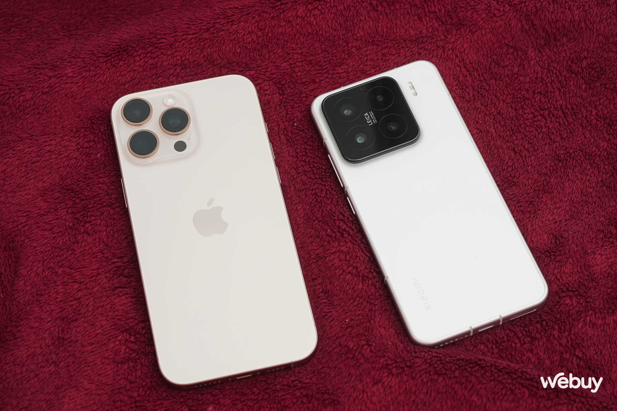 - Ảnh 27. - Ảnh 27.