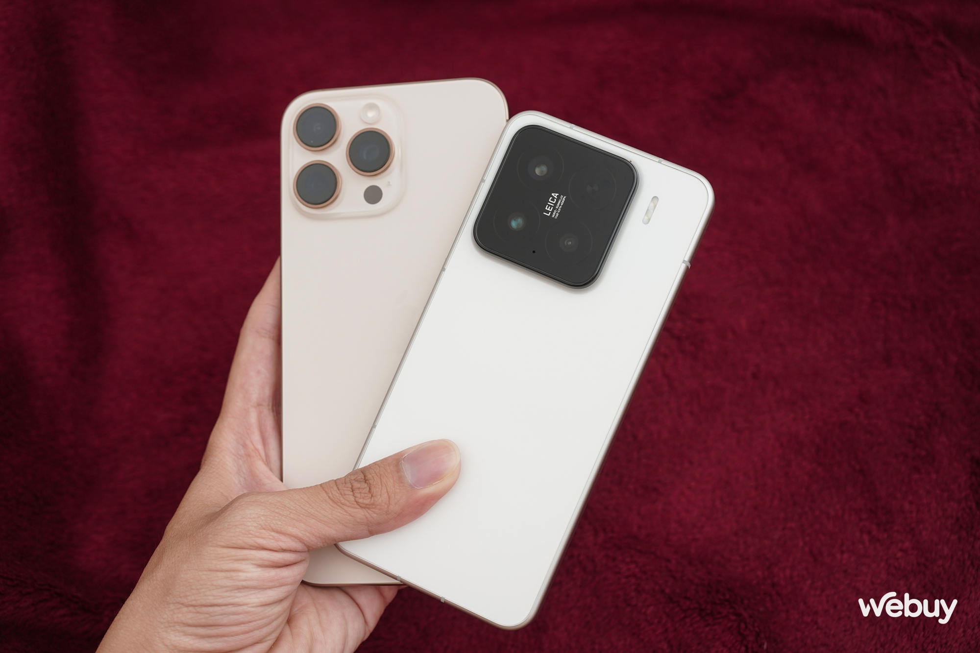 - Ảnh 29. - Ảnh 29.