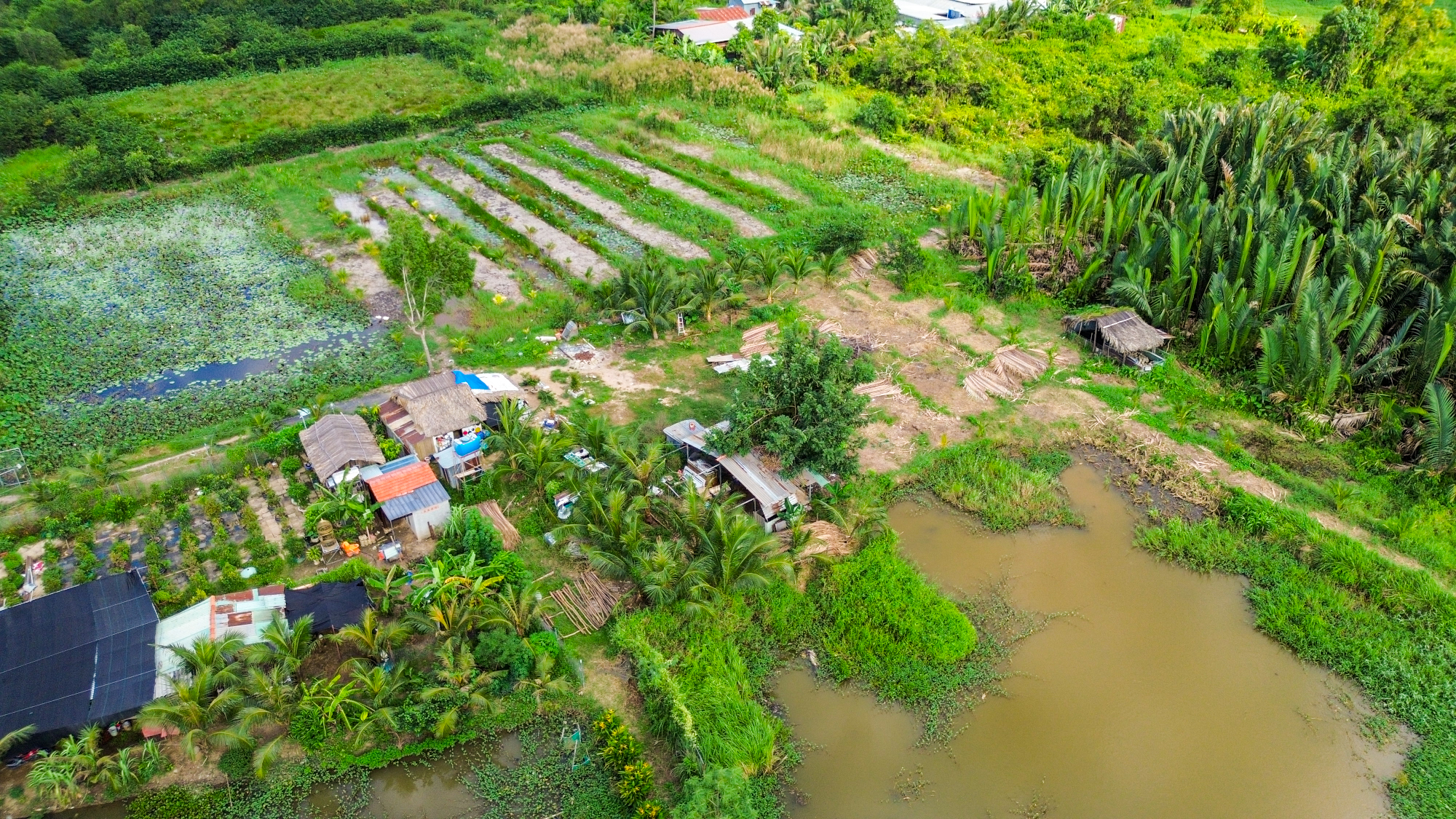 Sớm chốt ý tưởng quy hoạch đột phá để người dân "vùng nông thôn" ngay cạnh quận 1 “đổi vận” sau 30 năm quy hoạch treo - Ảnh 2.