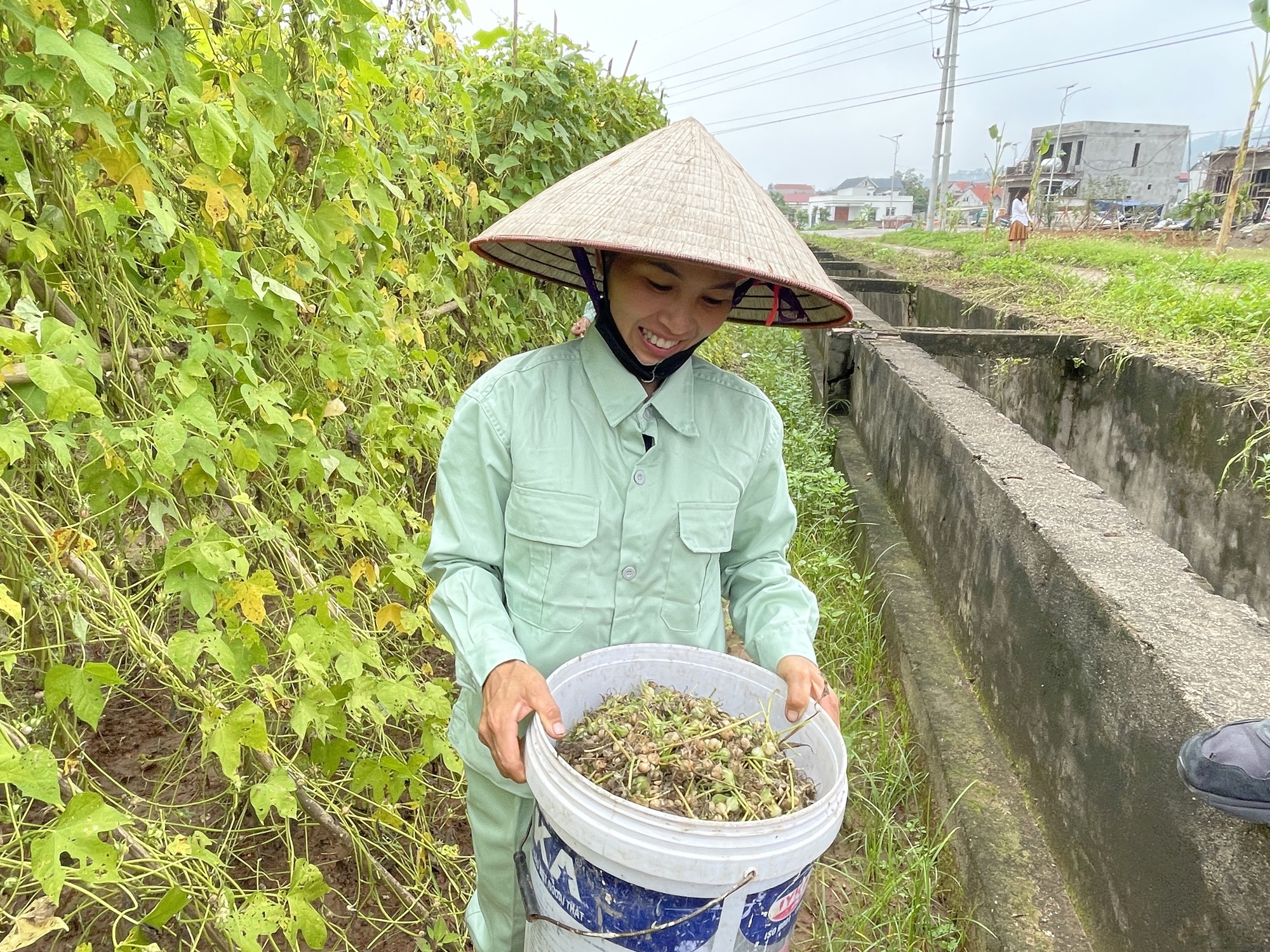 Bộ Y tế cảnh báo "lương y", "thần y" gia truyền dỏm- Ảnh 2.