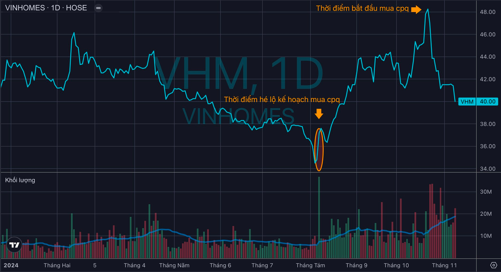 Vinhomes mua được ít cổ phiếu quỹ nhất kể từ khi bắt đầu thương vụ lịch sử của chứng khoán Việt Nam- Ảnh 2.