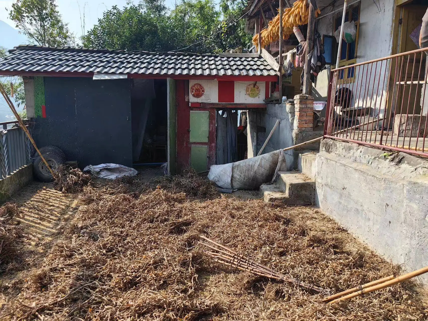 Gấu dữ đột nhập nhà dân để “săn người”: Hiện trường vụ việc ám ảnh và hỗn loạn - Ảnh 2.