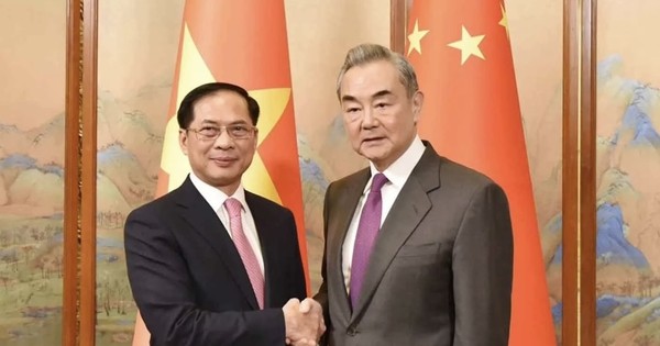 Hiệp định thương mại tự do Việt Nam - Israel mở ra cơ hội mới - Ảnh 3.