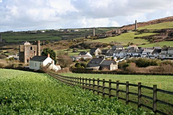 Cặp vợ chồng già chọn cách ra đi cùng nhau sau chẩn đoán bệnh hiểm nghèo - Ảnh 1.