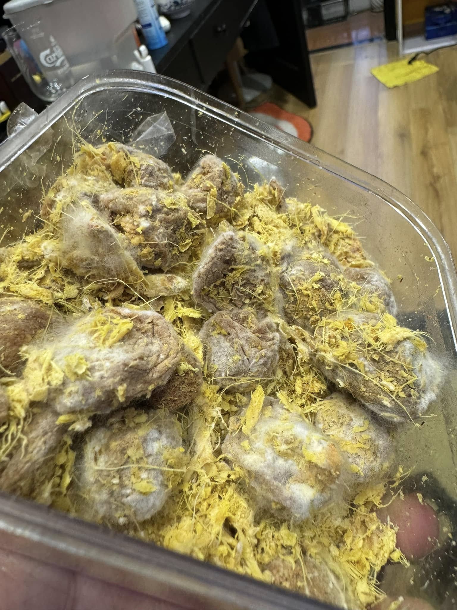 Mua ô mai trong hiệu sách về ăn đến nửa hộp mới phát hiện mốc trắng, cô gái Hà Nội đau bụng 3 ngày- Ảnh 5. Mua ô mai trong hiệu sách về ăn đến nửa hộp mới phát hiện mốc trắng, cô gái Hà Nội đau bụng 3 ngày- Ảnh 5.