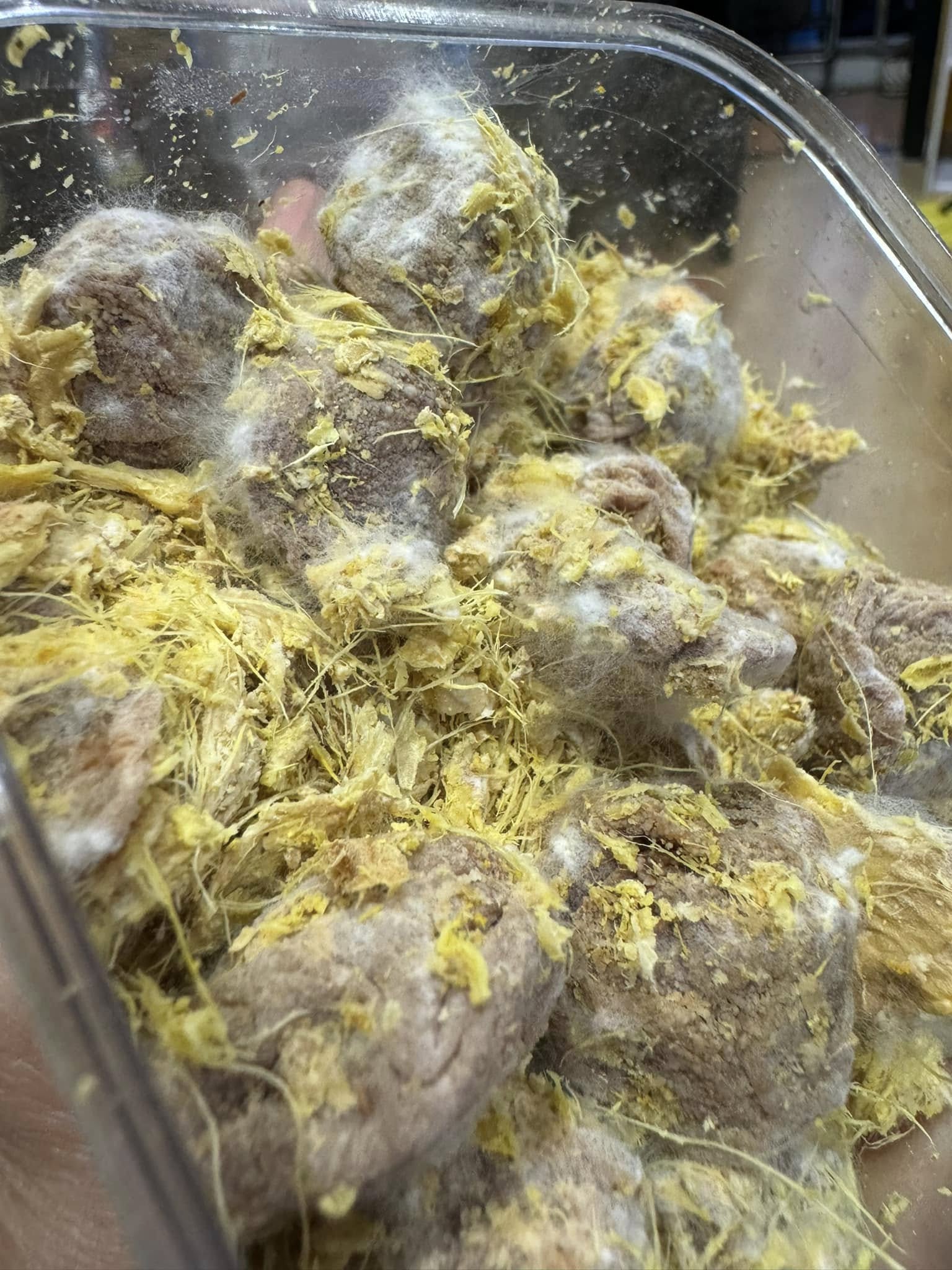 Mua ô mai trong hiệu sách về ăn đến nửa hộp mới phát hiện mốc trắng, cô gái Hà Nội đau bụng 3 ngày- Ảnh 3. Mua ô mai trong hiệu sách về ăn đến nửa hộp mới phát hiện mốc trắng, cô gái Hà Nội đau bụng 3 ngày- Ảnh 3.