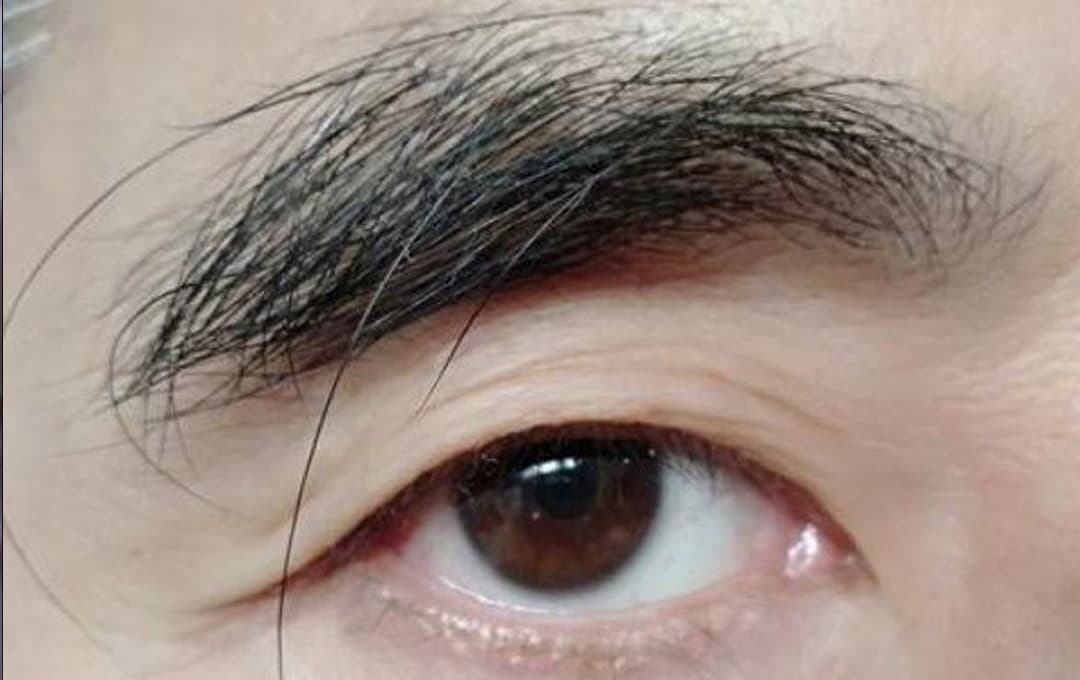 L&ocirc;ng m&agrave;y d&agrave;i hơn c&oacute; thể sống l&acirc;u hơn? B&aacute;c sĩ trả lời khiến bao người phải thay đổi  quan điểm- Ảnh 1.