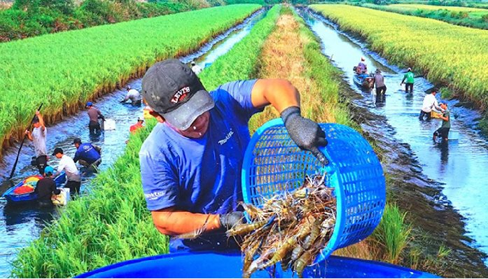 “Việt Nam có mô hình độc - lạ, hiện chưa quốc gia nào làm được” - Ảnh 3.