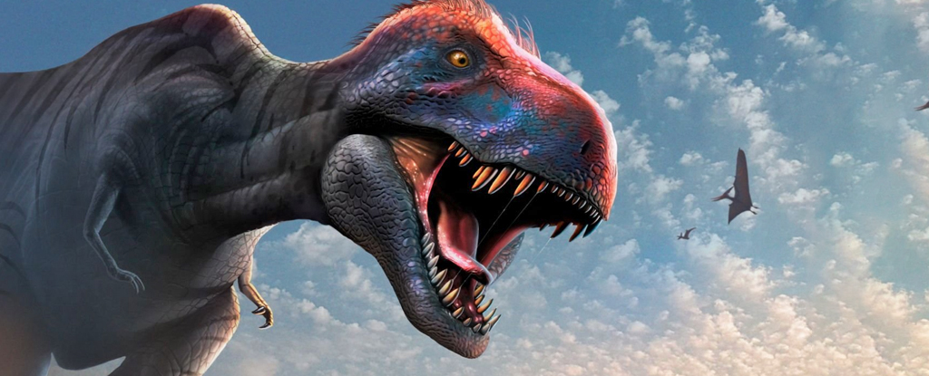 Chúng ta có thể đã sai về T. rex một lần nữa: 'Thông minh như khỉ' hay chỉ là lời đồn?- Ảnh 1.