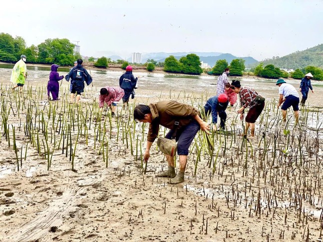 Vì sao tình trạng ngập lụt Nha Trang ngày càng nghiêm trọng và kéo dài - Ảnh 3.