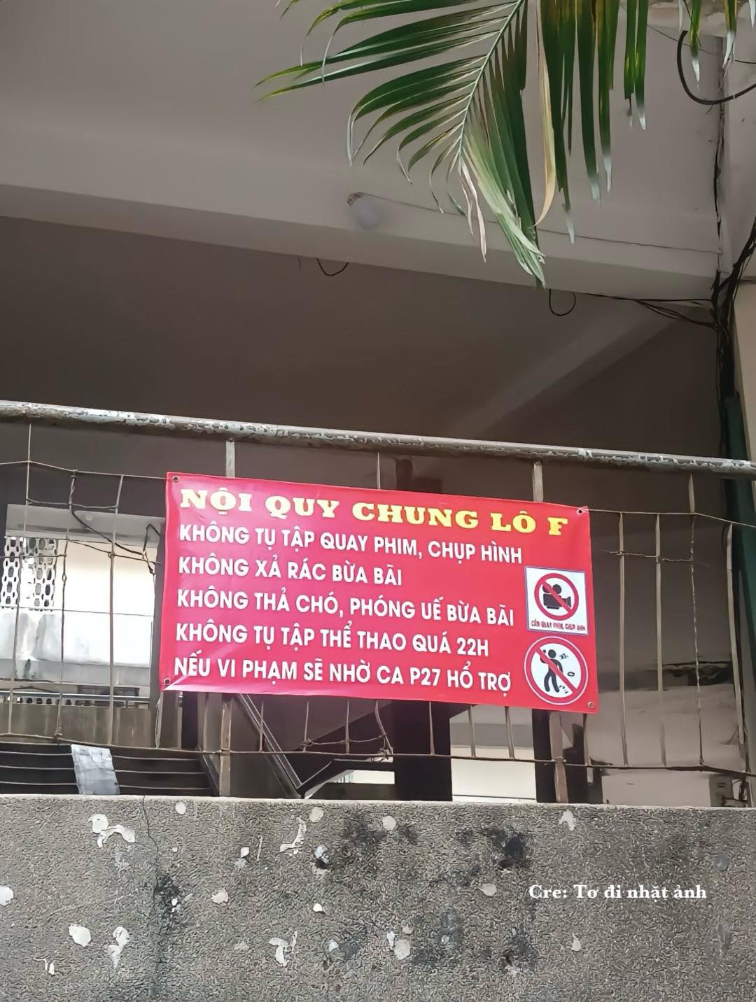 Địa điểm check in siêu hot tại TP.HCM nơi Ánh Viên từng đến chụp hình, bất ngờ treo biển "cấm": Sự tình do đâu? - Ảnh 3.