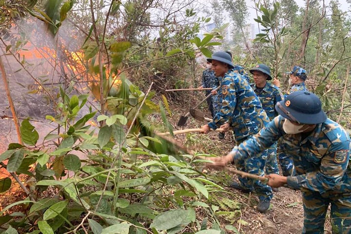 Cháy rừng ở Quảng Ninh: Các lực lượng nỗ lực tạo đường băng cản lửa - Ảnh 1.