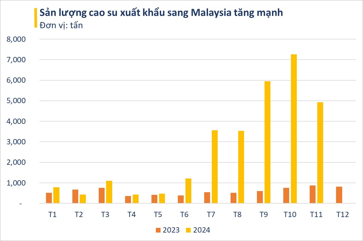 Việt Nam nắm giữ loại gỗ siêu quý được Malaysia ra sức săn lùng: xuất khẩu tăng 500%, diện tích trồng hơn 900.000 ha - Ảnh 3.