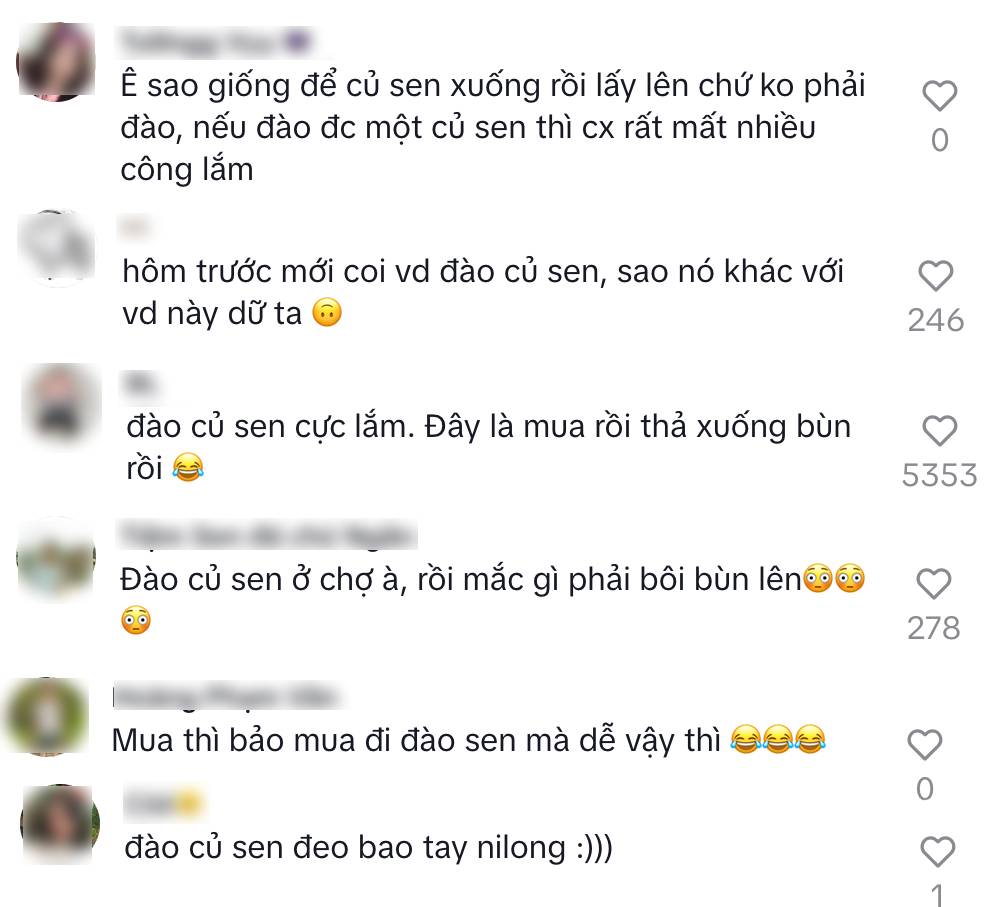 Hot TikToker bị tố "tạo content", mua củ sen về rồi d&agrave;n dựng cảnh đi đ&agrave;o, cư d&acirc;n mạng người b&ecirc;nh kẻ phản đối - Ảnh 9.