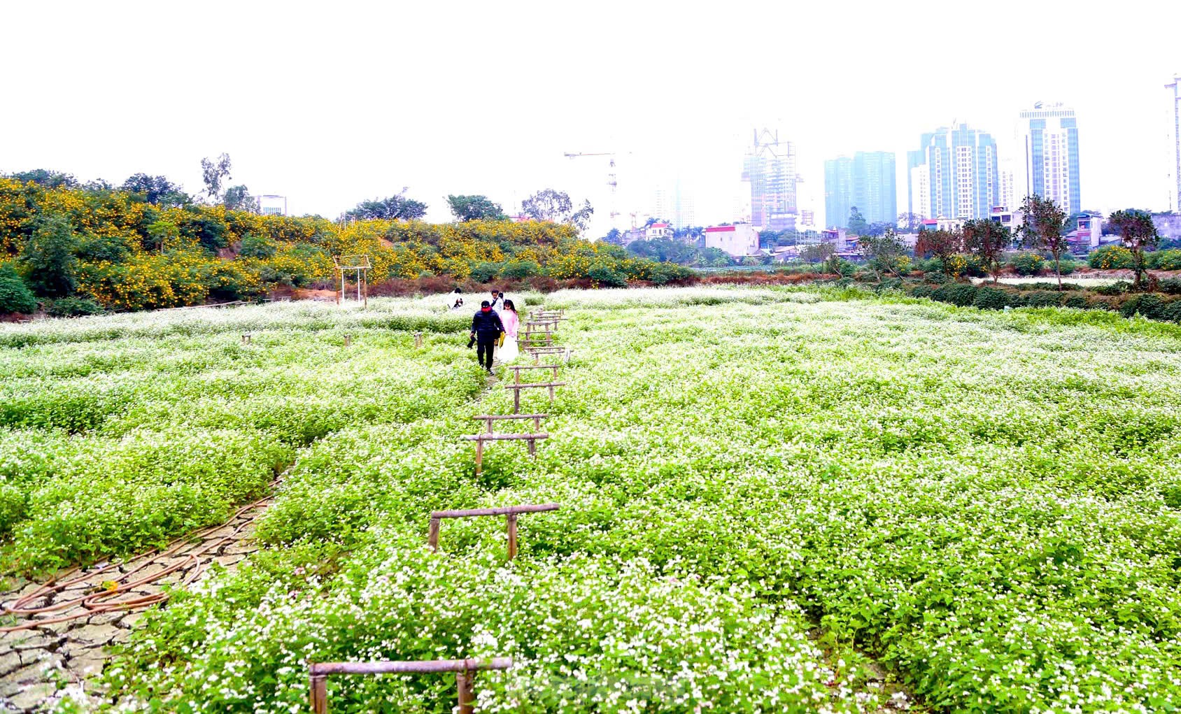 Sau 60 tuổi đầu tư khôn ngoan vào 4 tài sản quý giá - Ảnh 18.