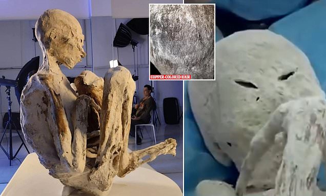 Bí ẩn xác ướp "người ngoài hành tinh" tiếp tục gây chấn động với phát hiện mới chứng minh "không thể là con người" - Ảnh 1.