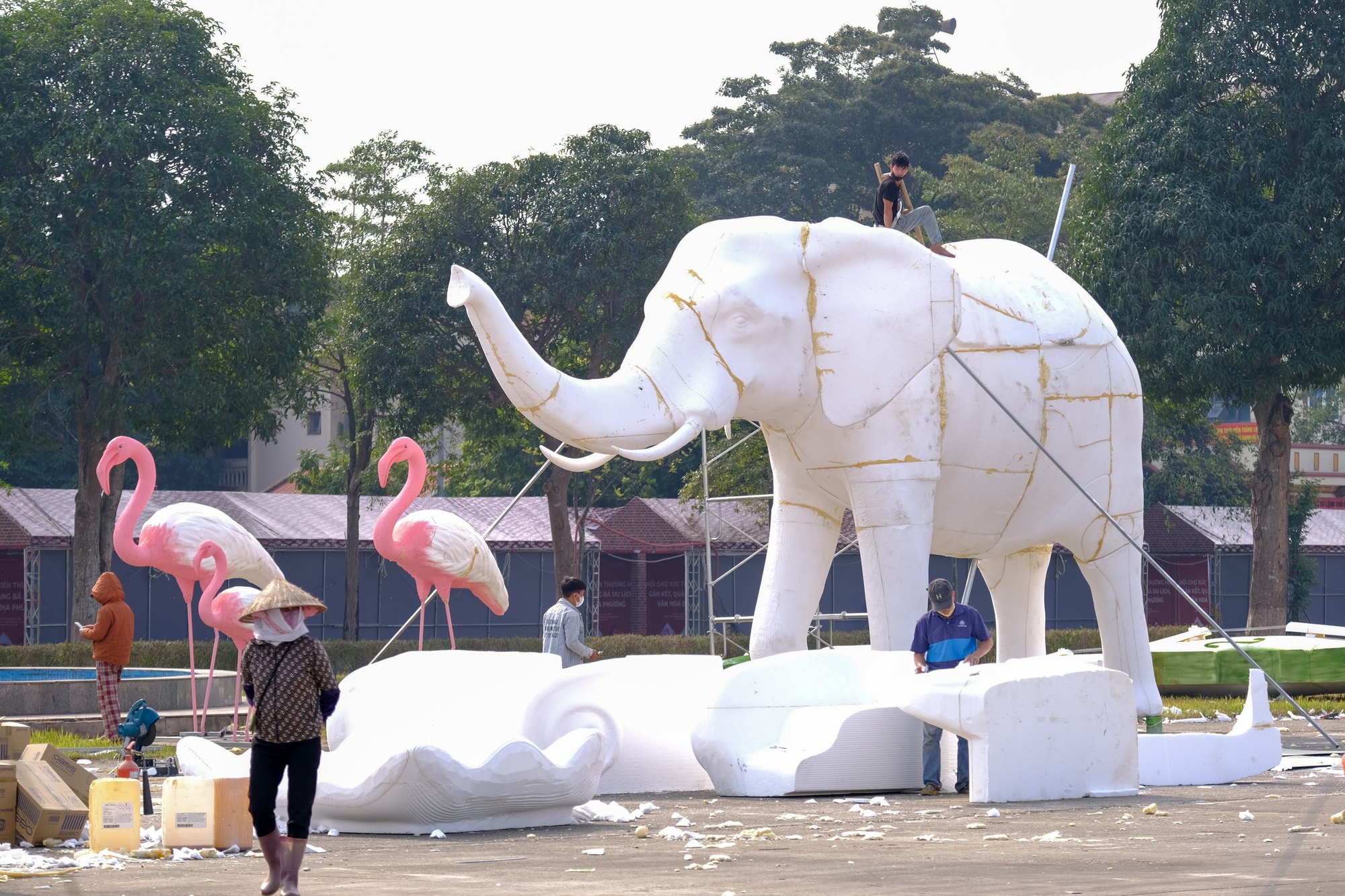 Festival hoa Mê Linh 2024 hứa hẹn sắc hoa rực rỡ và cơ hội du lịch mới - Ảnh 20.